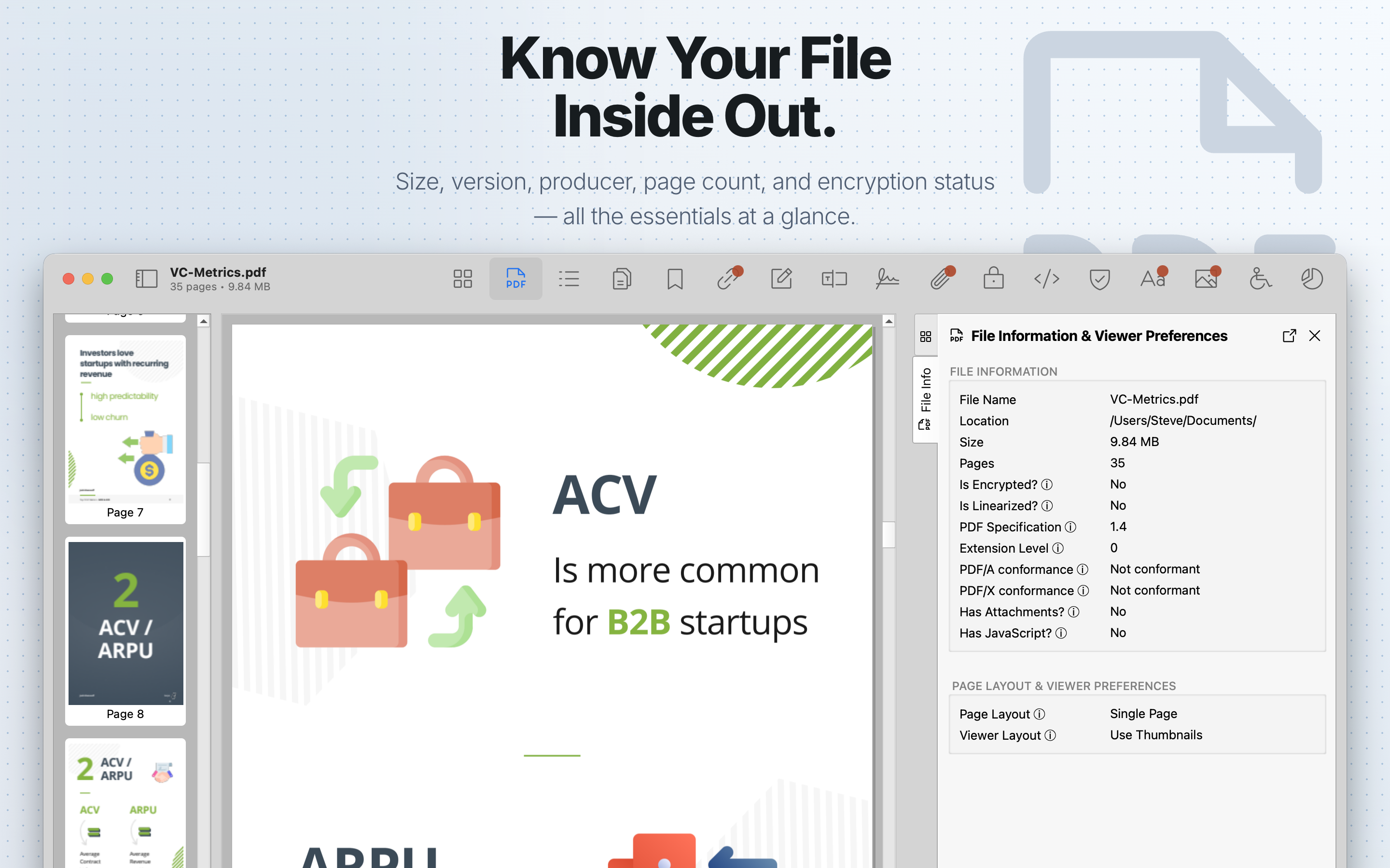 PDF Auditor File Info tab showing document properties.