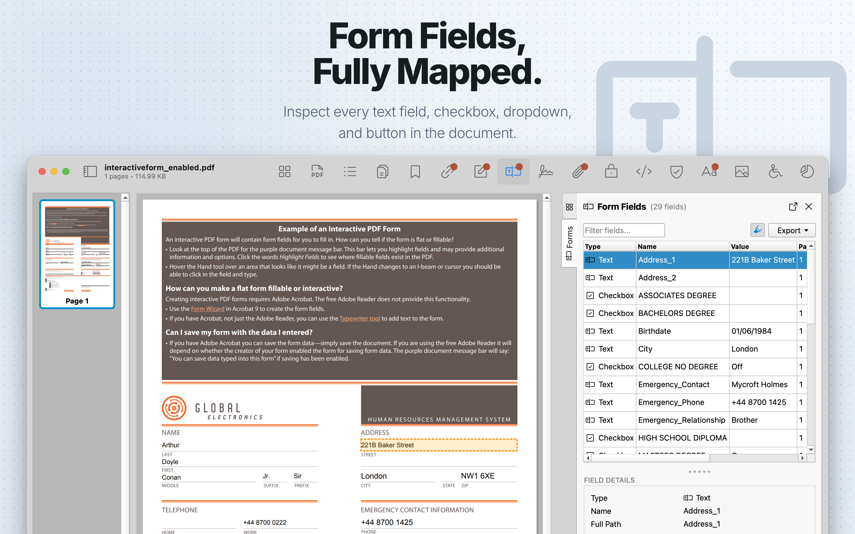 PDF Auditor Forms tab showing form field details.